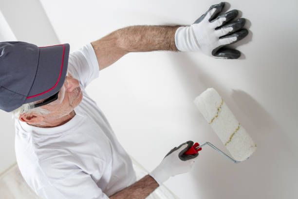 Best Asbestos and Lead Testing During Mold Inspection  in Ripley, MS