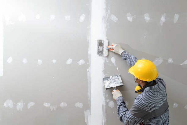 Best Forensic Mold Investigation  in Ripley, MS