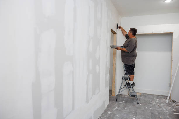 Best HVAC Mold Inspection and Cleaning  in Ripley, MS
