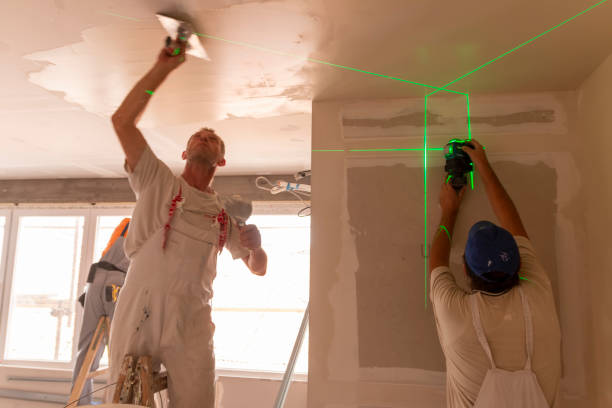 Best Mold Odor Removal Services  in Ripley, MS