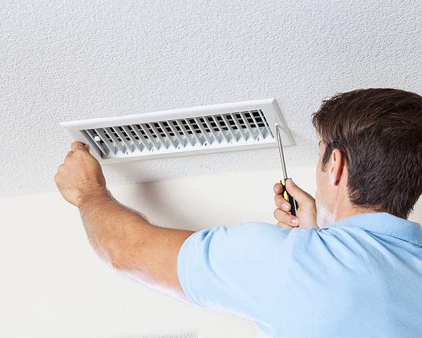 Best Mold Remediation for Healthcare Facilities  in Ripley, MS