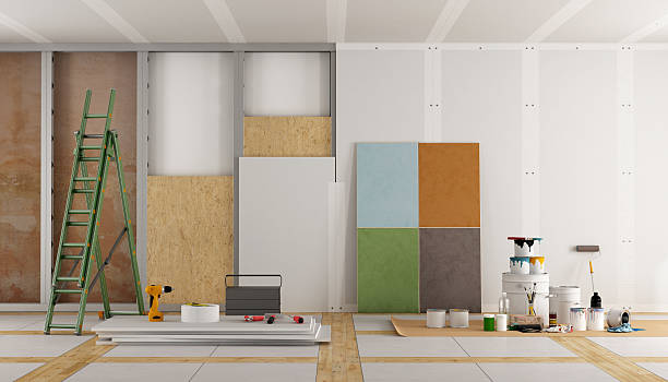 Best Environmental Consulting for Mold Prevention  in Ripley, MS