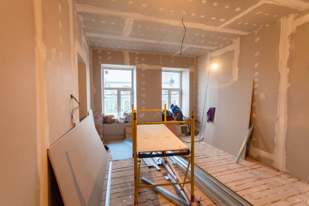 Best Black Mold Removal  in Ripley, MS
